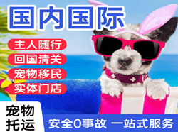 白云空运地址国际宠物托运 【国